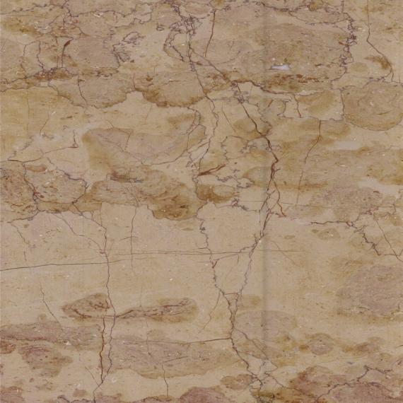 La mejor pared de lujo de mármol de piso superior de fósil